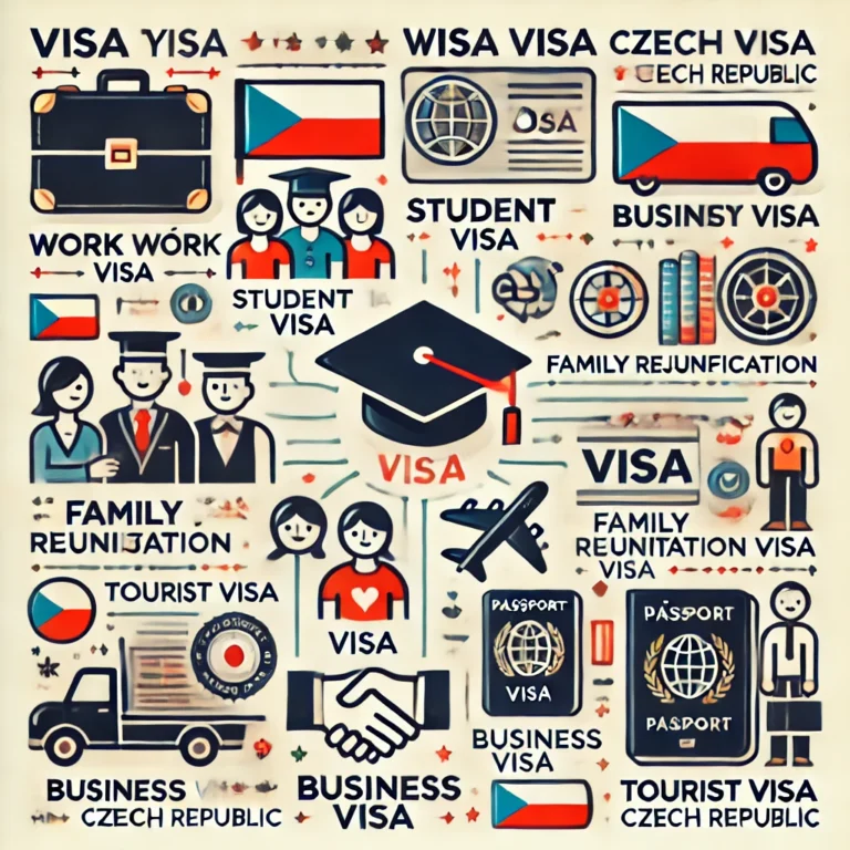 How Many Visa types